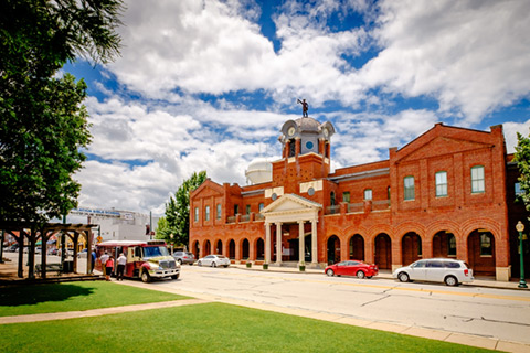 Grapevine